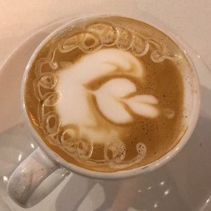 Meet your Posher, Shirley